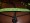 Noseband Detail