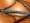 Noseband Detail