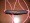 Pink Halter cord with Black Noseband