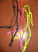 Rope Halters for Training & Everday Use!
